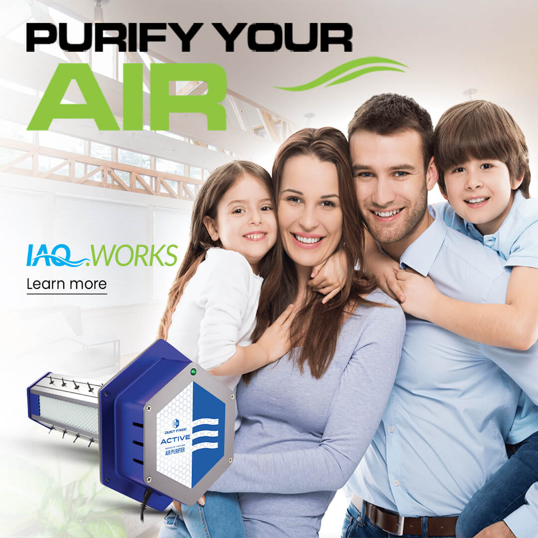 Purify your air